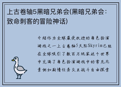上古卷轴5黑暗兄弟会(黑暗兄弟会：致命刺客的冒险神话)